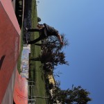 IMG_0731